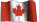 CAN
